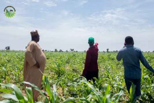 Farmers in the field