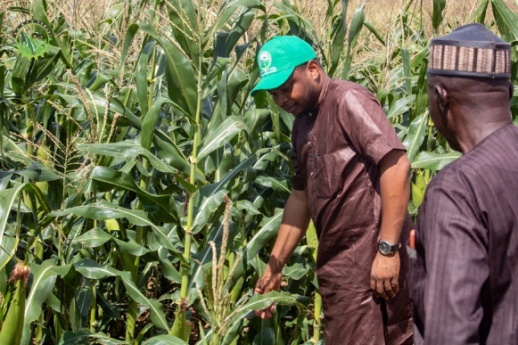Smiling African farmers